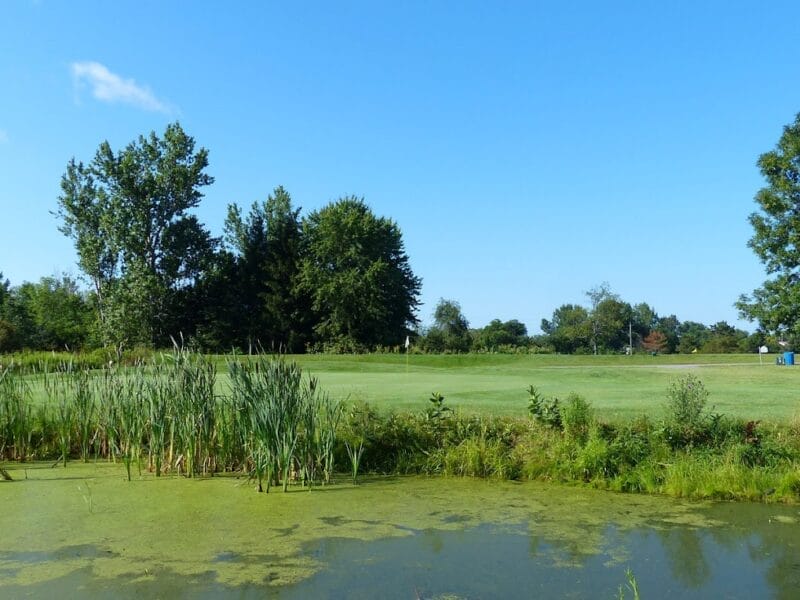 AMHERSTVIEW GOLF COURSE