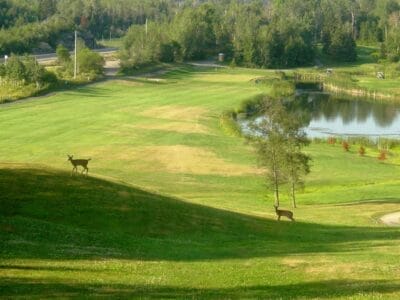 FOREST RIDGE GOLF AND COUNTRY CLUB