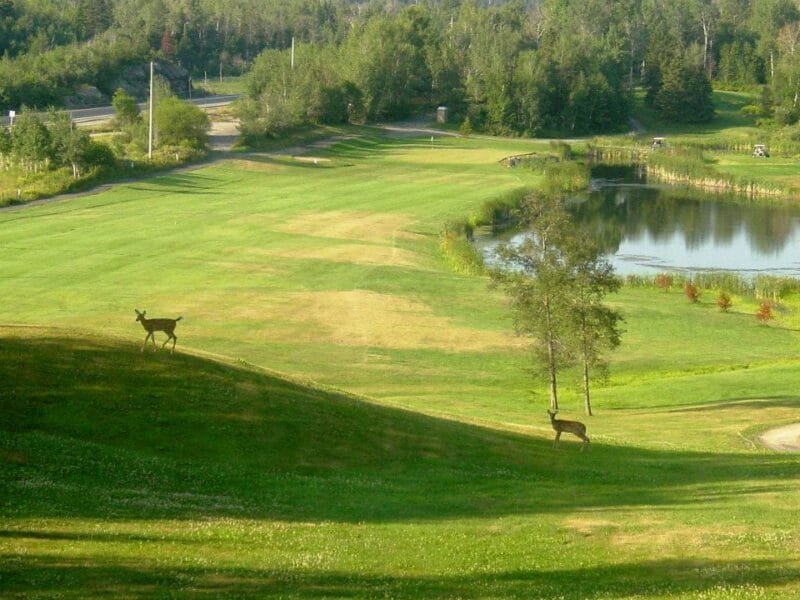 FOREST RIDGE GOLF AND COUNTRY CLUB