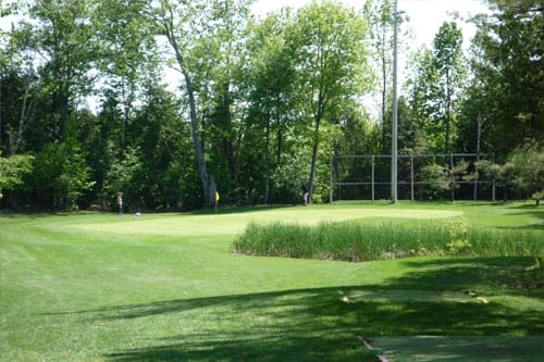 CEDAR LINK GOLF CENTRE